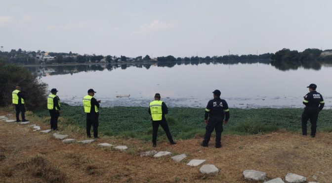 SSEM resguarda zona ante presencia de reptil a fin de proteger a la ciudadanía de Cuautitlán Izcalli