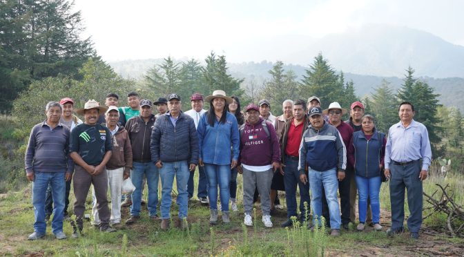 ANTE LAS EMERGENCIA POR INCENDIOS FORESTALES TEXCOCO PREPARA EL PROGRAMA #SEMBRANDO VIDA PARA REFORESTAR