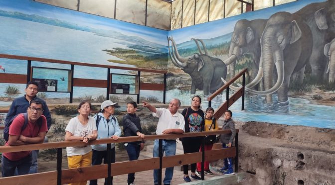 Para celebrar sus 28 años, el Museo Paleontológico de Tocuila realizará un ciclo de conferencias