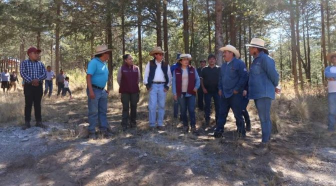 Gobierno de Texcoco invita a participar en la campaña de reforestación «Súmate y siembra vida 2024»