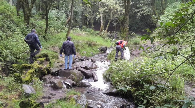 Reforestan Secretaría de Campo y Probosque nueve regiones del Edoméx y las inmediaciones del Río Chapingo