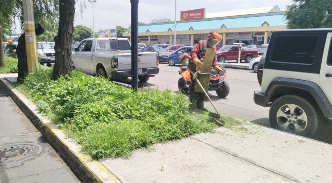 Trabajan en Texcoco con jornadas de limpieza de espacios públicos