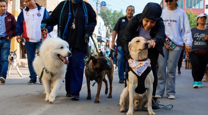 Realizan caminata canina en territorio de paz en Texcoco; tuvo buena aceptación