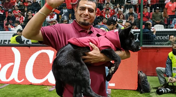 Promueven la adopción de perritos entre la afición del Deportivo Toluca FC