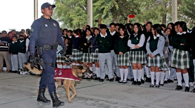 Exhibe SSEM binomios caninos entre la comunidad escolar para fomentar la cultura de la paz en Edoméx